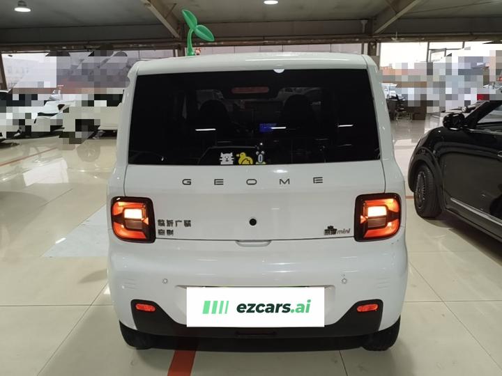 2024 Panda mini 200km Endurance Bear photo 5