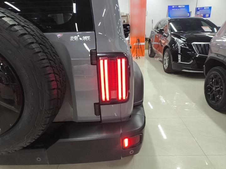 300 2021 Off-road 2.0T Conqueror photo 7