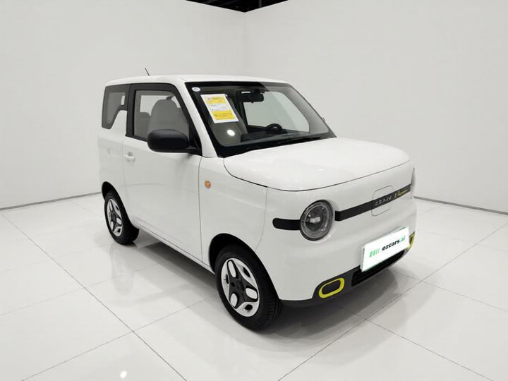 2025 Panda mini 210km Yuan photo 3