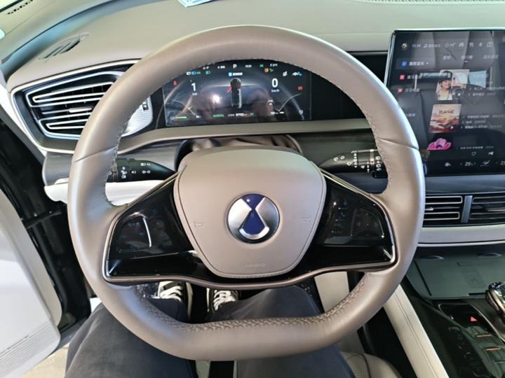 D9 2022 DM-i 970 AWD Noble photo 6