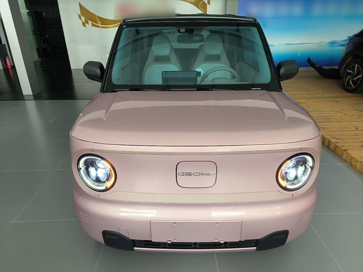 2023 Panda mini 200km Endurance Bear photo 2