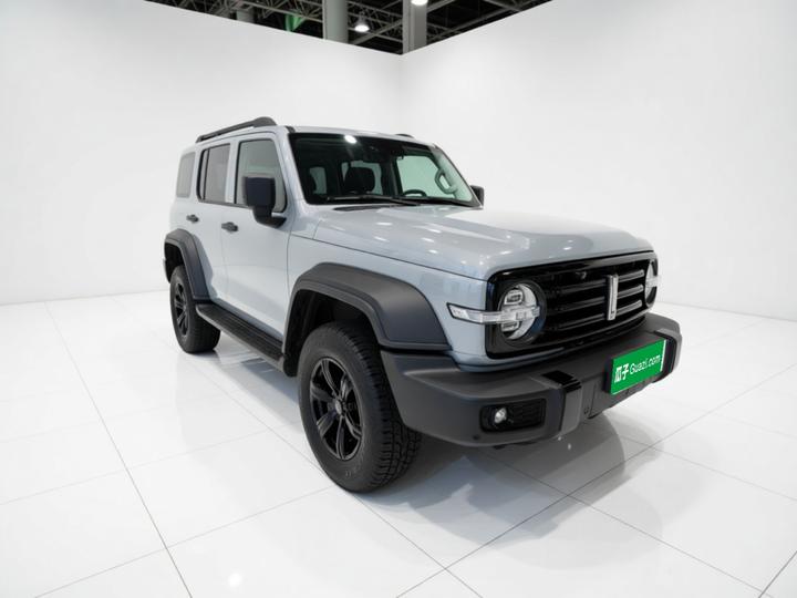 300 2021 Off-road 2.0T photo 3