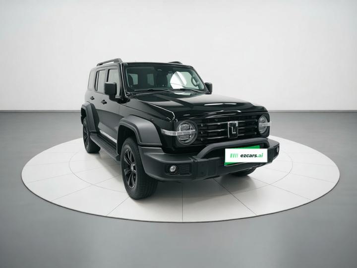 300 2023 Off-road 2.0T Conqueror photo 3