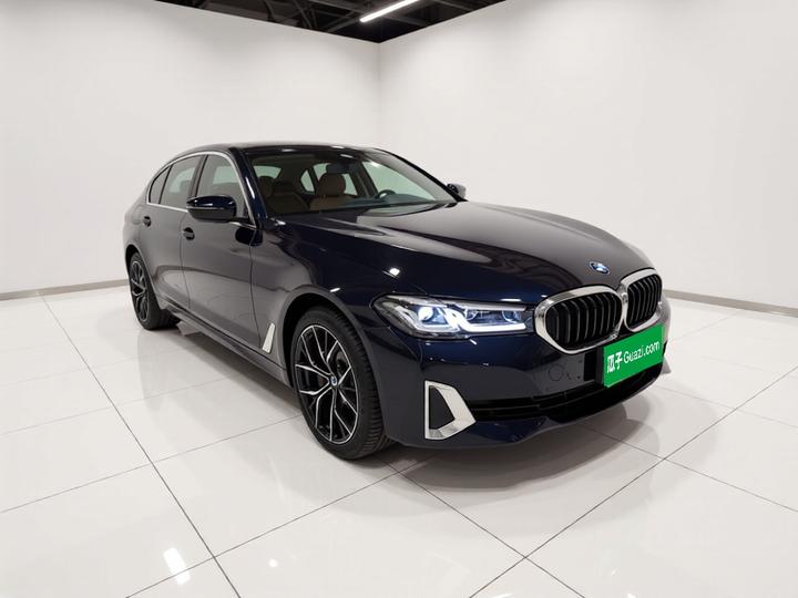 5 Series 2021 530Li Leading Luxury photo 3