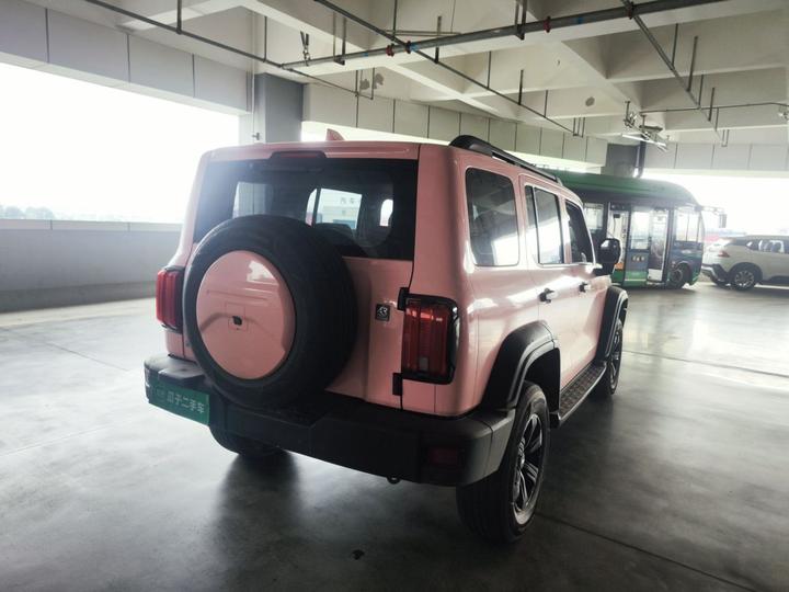 300 2021 Off-road 2.0T photo 7
