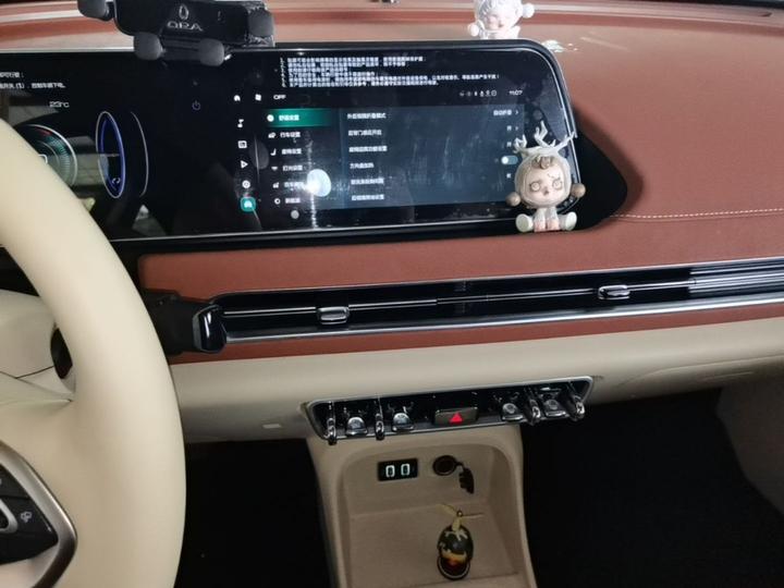 Good Cat 2022 400km Standard Range Premium LFP photo 8