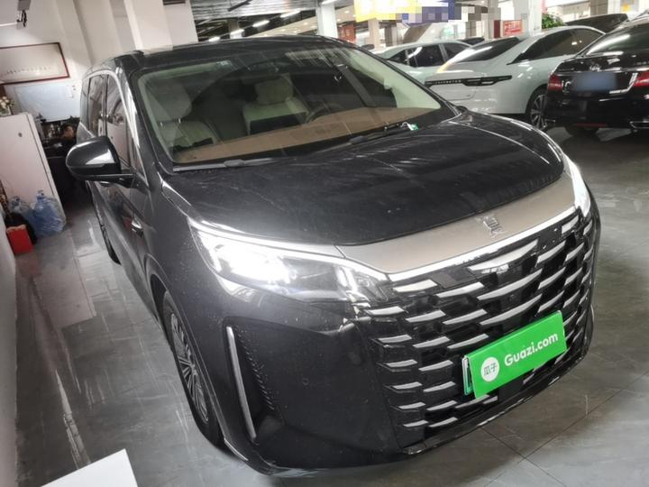 2025 DM-i 1.5T 100km photo 3