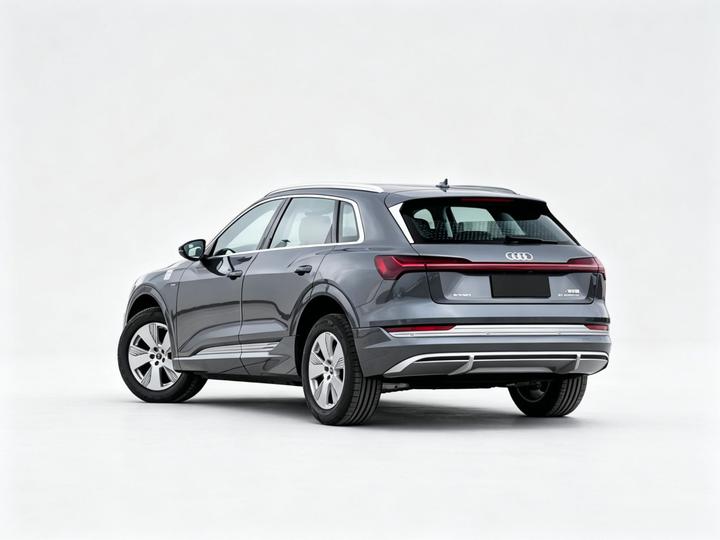 e-tron 2021 50 quattro Luxury photo 4