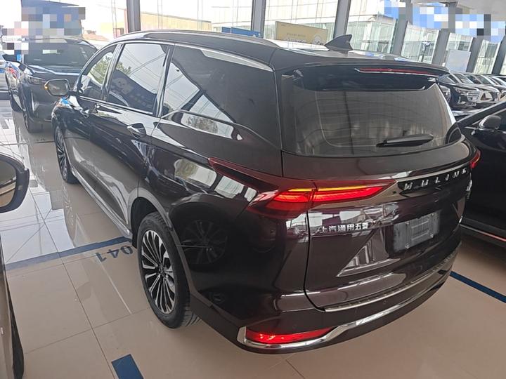 Wuling 2023 2.0L DHT photo 4