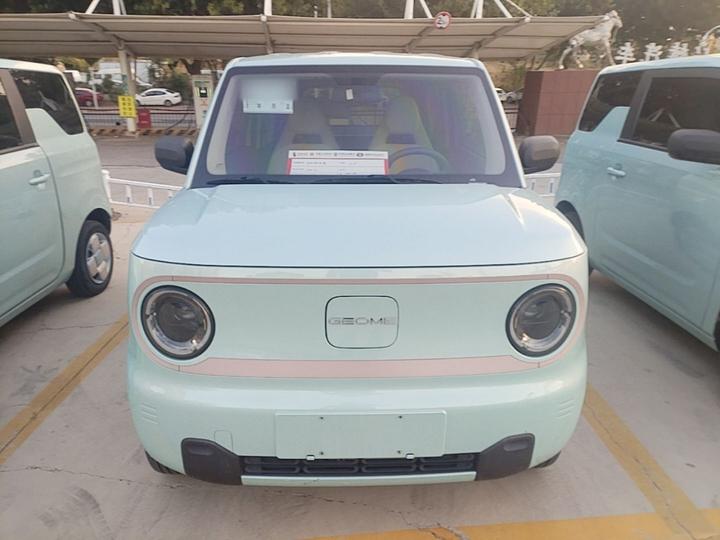 2024 Panda mini 200km Endurance Bear photo 2