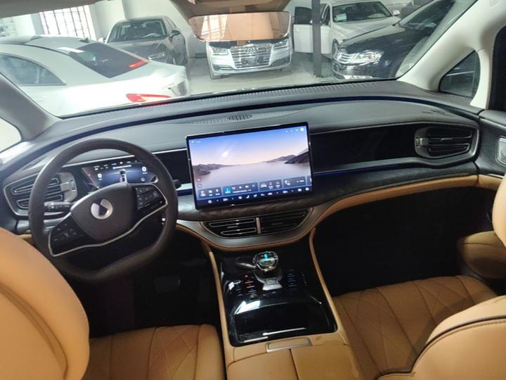 D9 2024 EV 600 AWD Premium photo 5