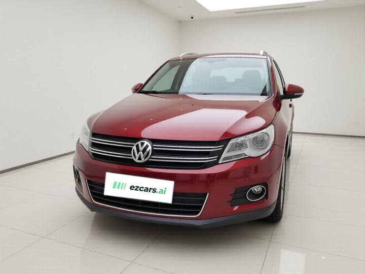Tiguan 2010 1.8TSI AT RWD photo 2