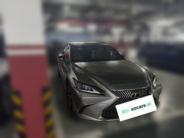ES 2018 300h Excellence China VI photo 3