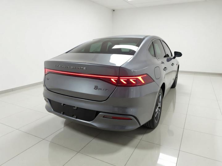 Qin PLUS 2023 Champion EV 420KM photo 6