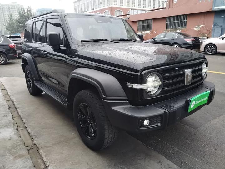 300 2021 Off-road 2.0T Conqueror photo 3