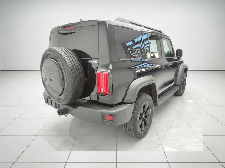 300 2023 Off-road 2.0T photo 6