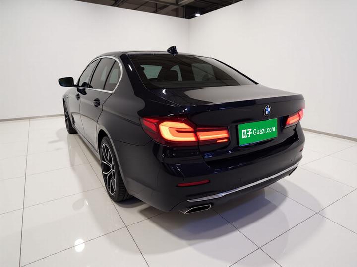 5 Series 2021 530Li Leading Luxury photo 4