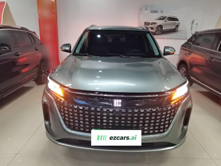 Bluelectric E5 2023 1.5L DE-i 100KM 7-Seater photo 2