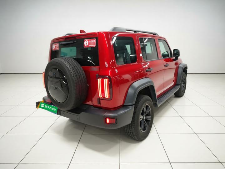 300 2021 Off-road 2.0T photo 6