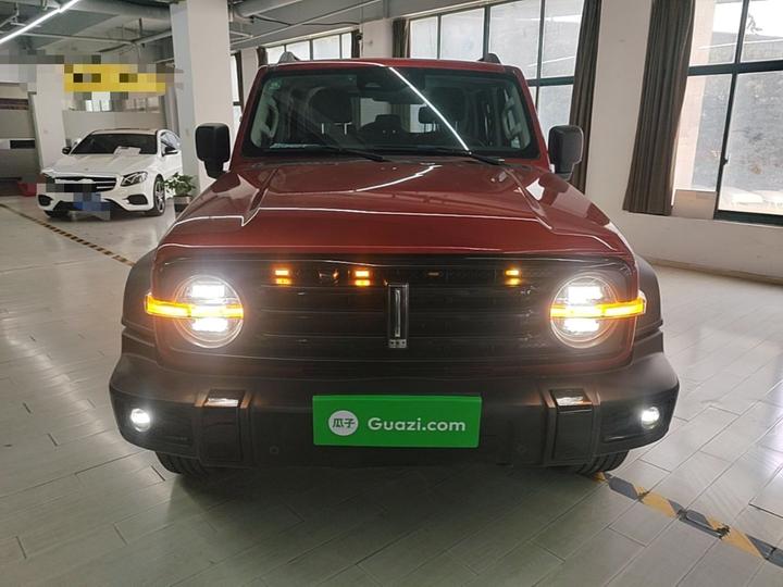 300 2021 Off-road 2.0T Conqueror photo 2