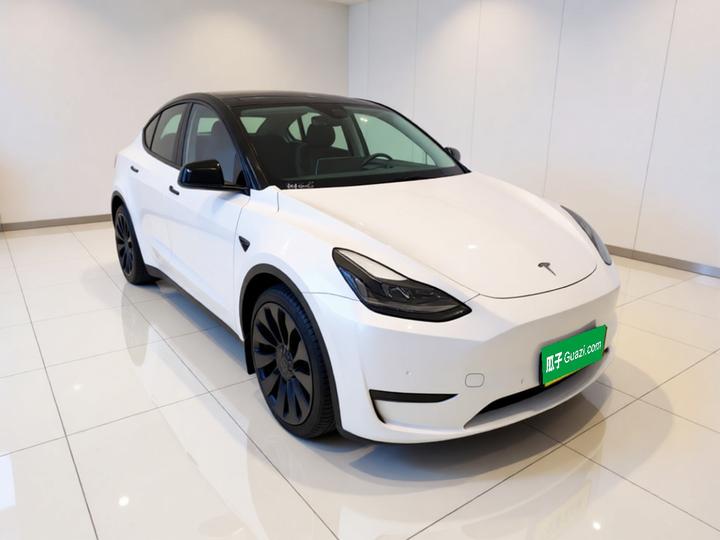 Model Y 2022 Performance AWD photo 3