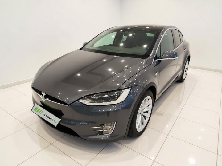 2017 Model X 100D Long Range