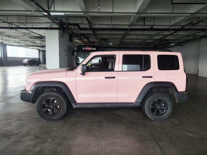 300 2021 Off-road 2.0T photo 4