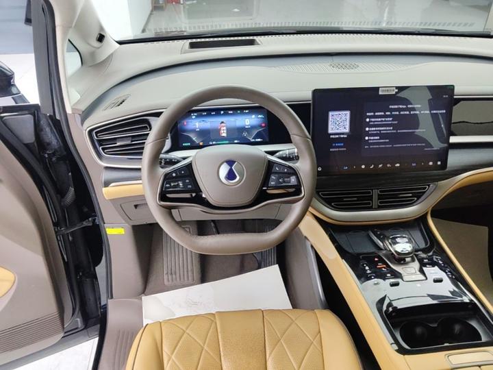 D9 2022 EV 600 AWD Noble photo 6