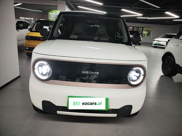 2023 Panda mini photo 2
