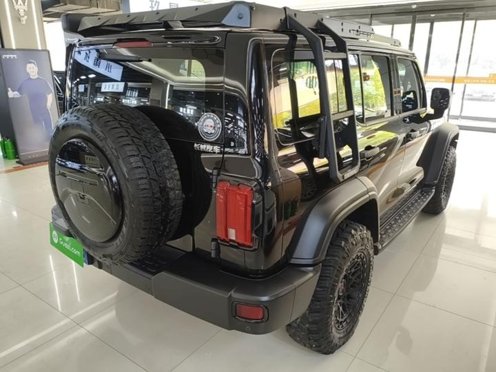 300 2021 Off-road 2.0T Conqueror photo 4