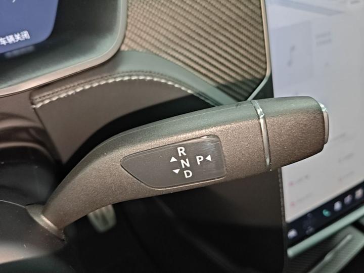 Model X 2020 Performance Performance photo 5