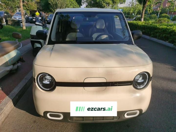 2025 Panda mini 210km Yuan photo 2