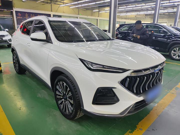 X5 2021 1.5T DCT Premium photo 3