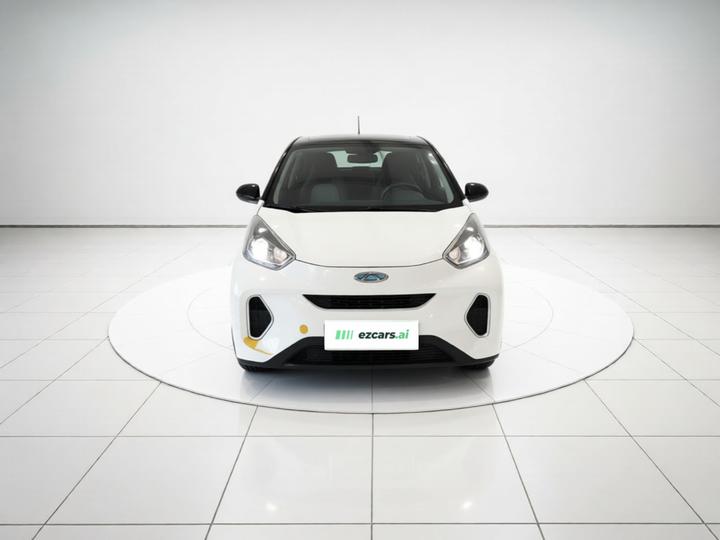 QQ Little Ant 2021 15 LFP photo 2