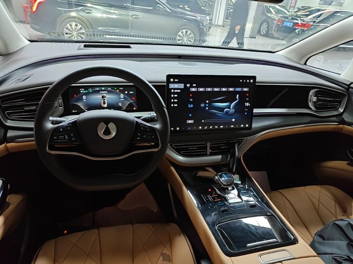 D9 2024 DM-i 980 AWD Noble photo 5