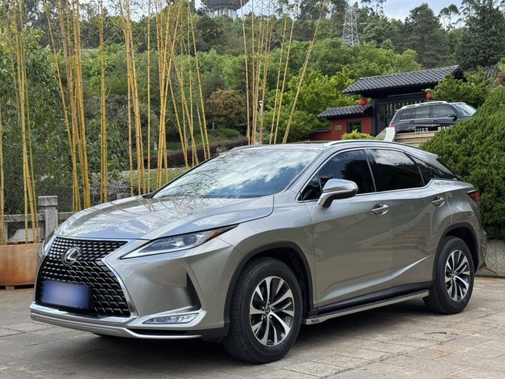RX 2020 Facelift 300 RWD Elite
