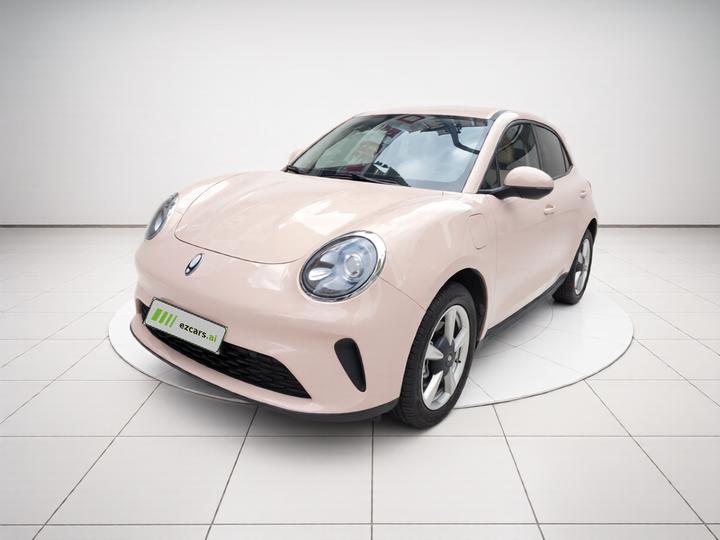 Good Cat 2025 430km Luxury