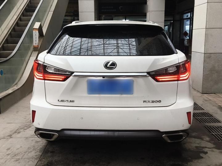 RX 2016 300 RWD Elite China V photo 3