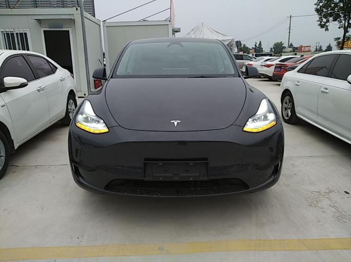 Model Y 2024 RWD photo 2