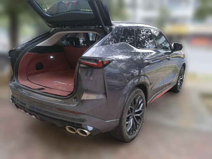 Z6 2023 1.5T DCT photo 6