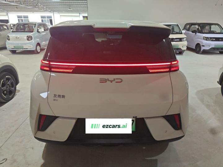 Seagull 2025 ADAS 305km photo 5