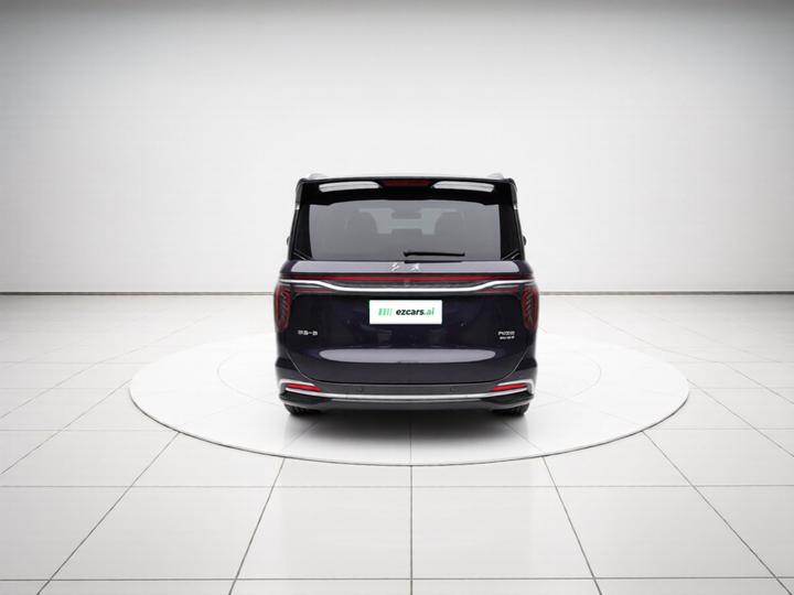 HQ9 PHEV 2024 2.0T AWD Business photo 5