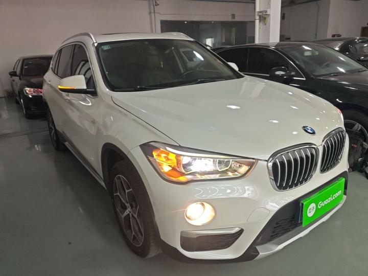 X1 2019 xDrive20Li Exclusive photo 3