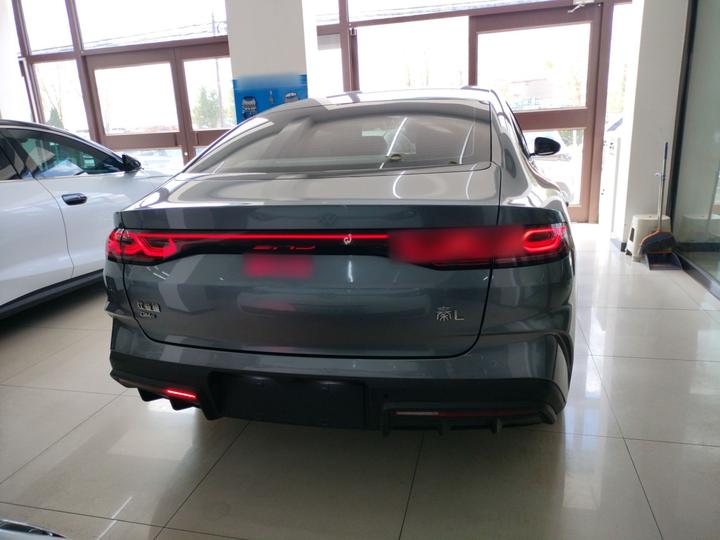 Qin L 2024 DM-i 80KM photo 3