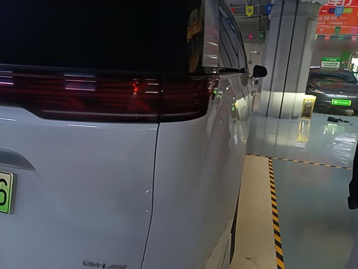 D9 2024 DM-i 980 AWD Noble photo 7