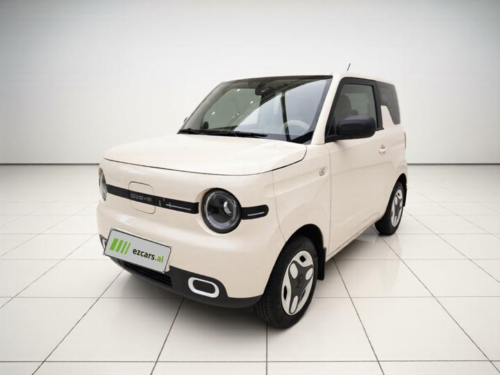 2025 Panda mini 210km Yuan