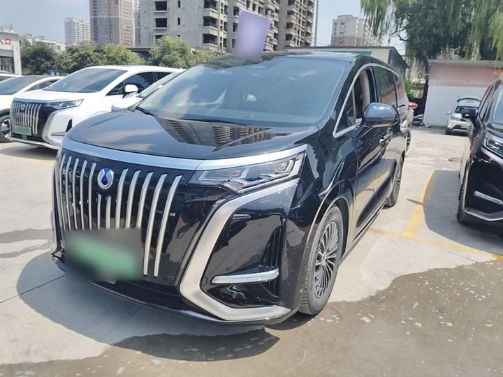 D9 2024 EV 600 AWD Flagship