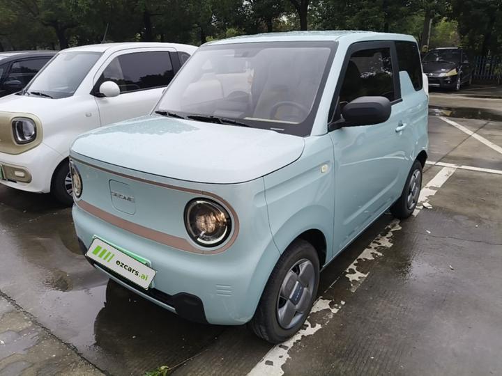 2024 Panda mini 200km Endurance Bear