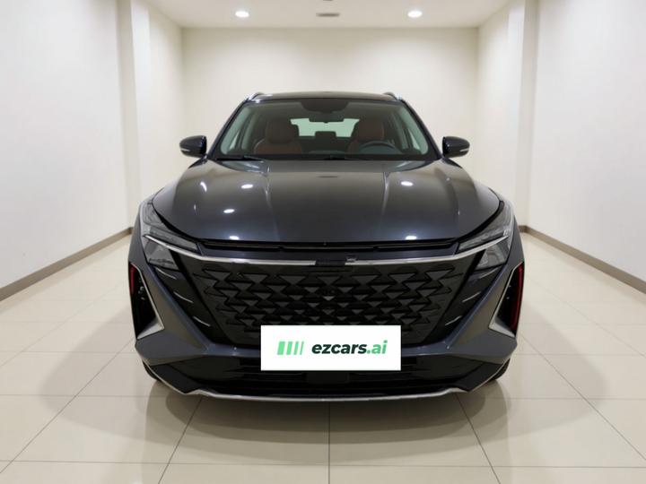 Z6 2023 1.5T DCT photo 2