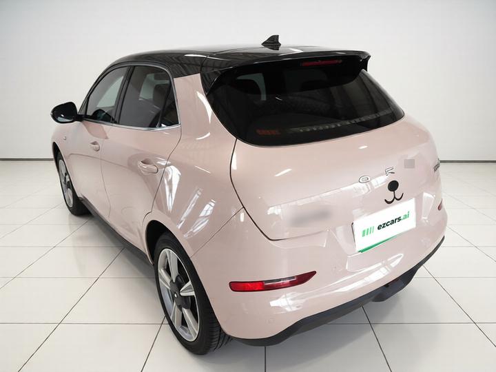 Good Cat 2022 400km Standard Range Premium NCM photo 4